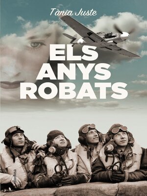 cover image of Els anys robats